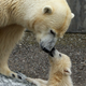 Image for article titled Happy Mother's Day To All Creatures, Great And Small